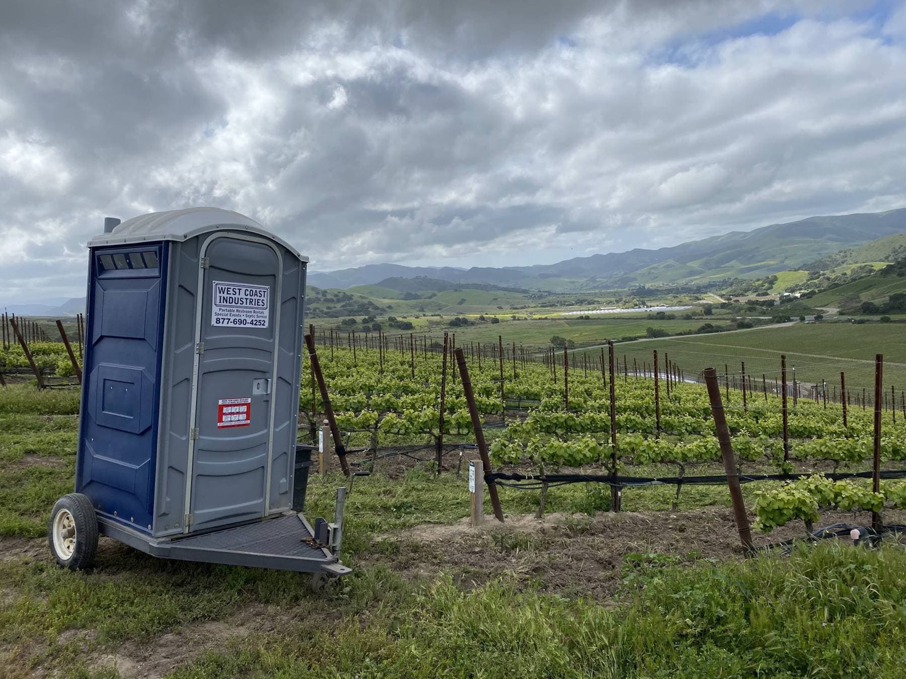 A WCI portable restroom at a Central Coast vineyard